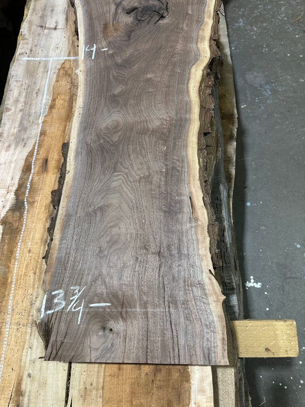 Black Walnut #BW018
