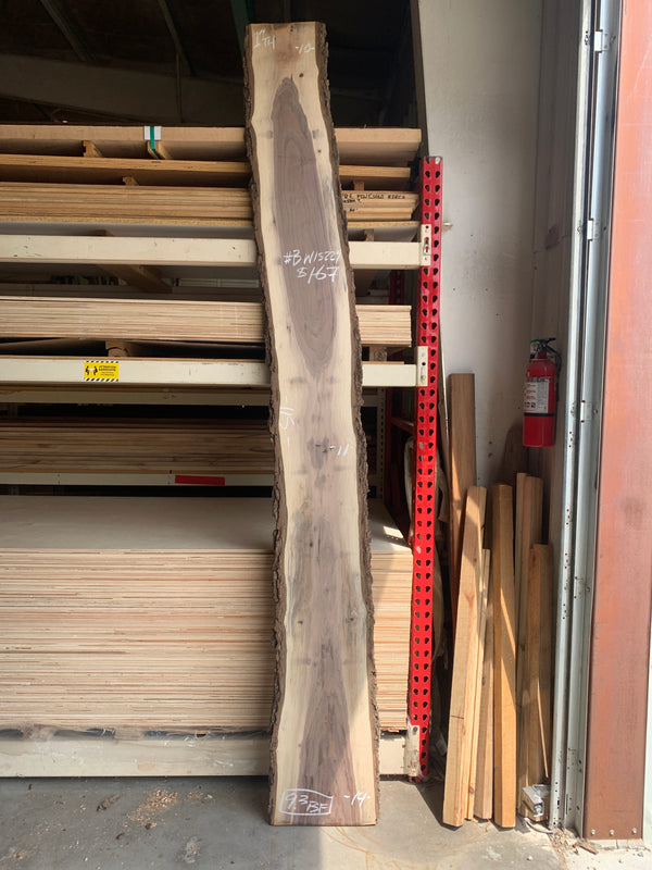 Black Walnut Slab #BW15229