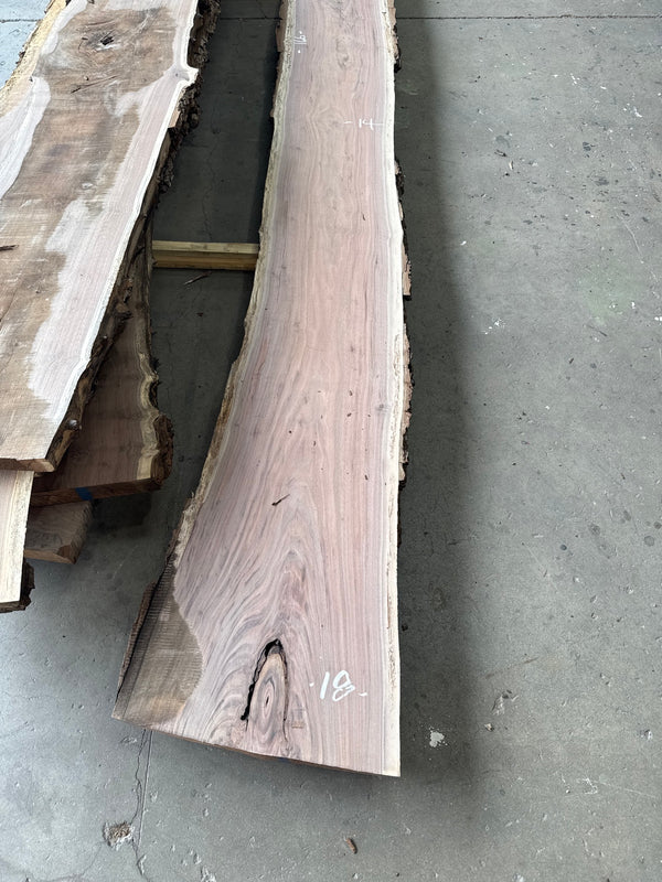 Black Walnut Live Edge Slab #BW1587 – 38 BF, 166" Long