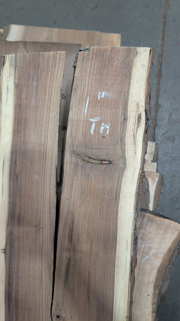 Black Walnut live edge slab #BW08, end view showing 1 inch thickness