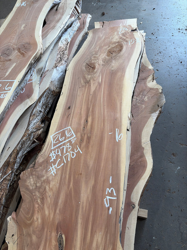 Cedar #C1704