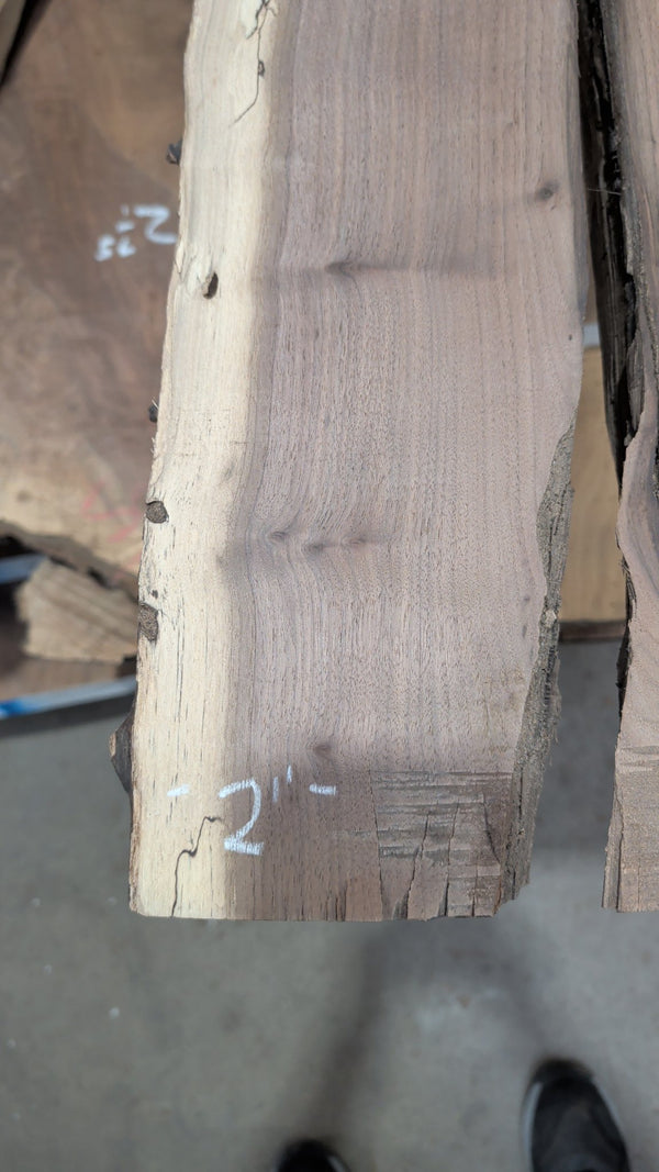 Black Walnut Live Edge Slab #BW26, 12.4 BF, 84 in. Long
