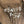Load image into Gallery viewer, Black Walnut #BW110 #CB
