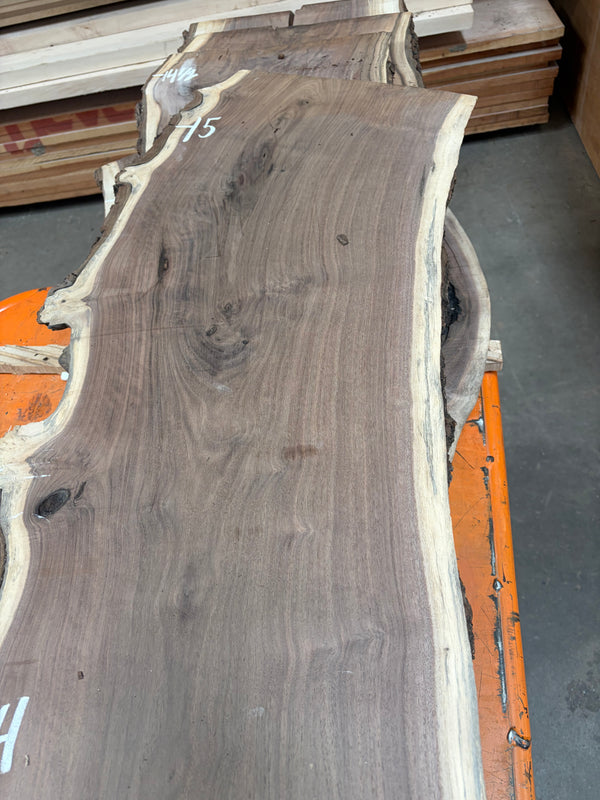 Black Walnut #BW1551