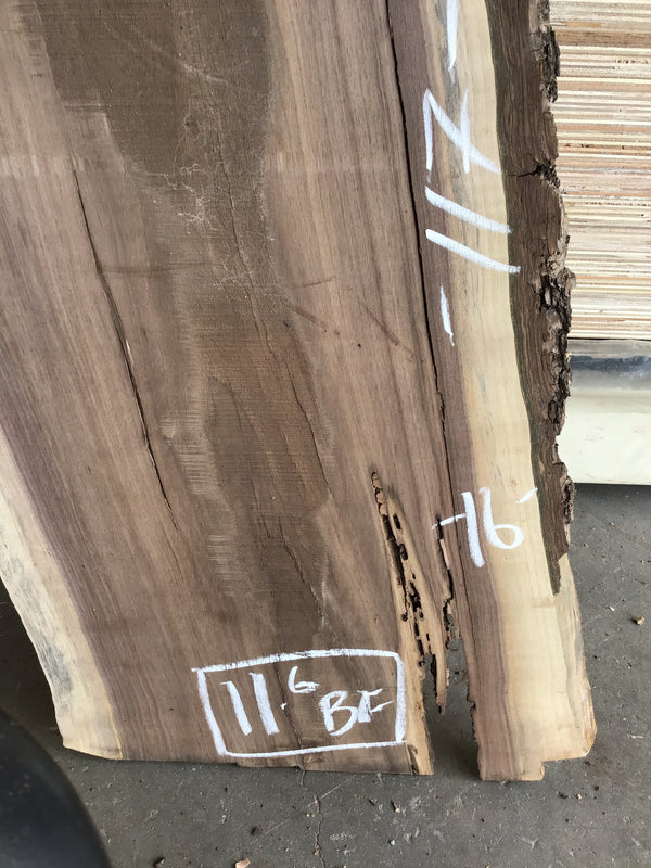Black walnut Slab  #BW15211