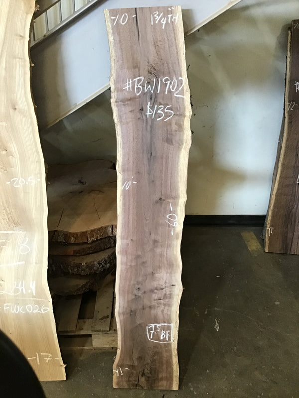 Black Walnut Slab #BW1902