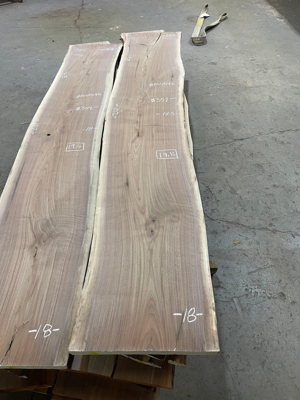 Black Walnut #BW1546