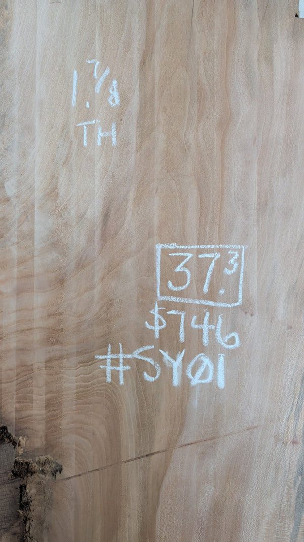 Sycamore Live Edge Slab #SY01, 37.3 BF, 87 in. Long