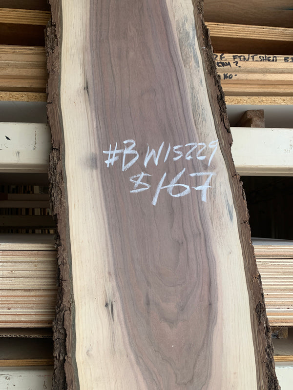 Black Walnut Slab #BW15229