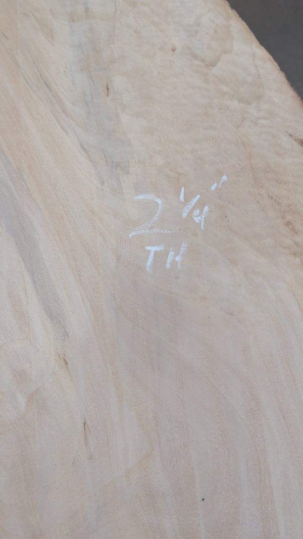 Cottonwood Live Edge Slab #CW001, 69 BF, 160 in. Long