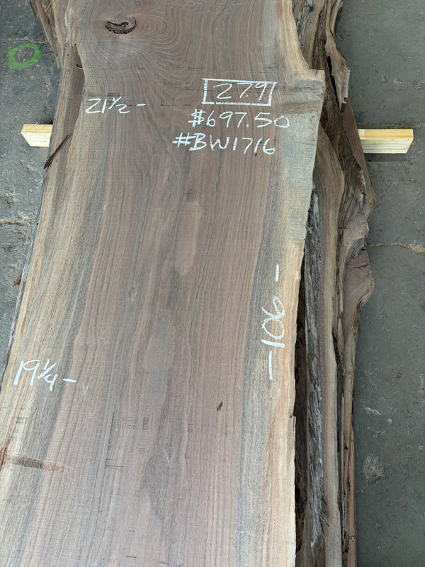 Black Walnut #BW1716