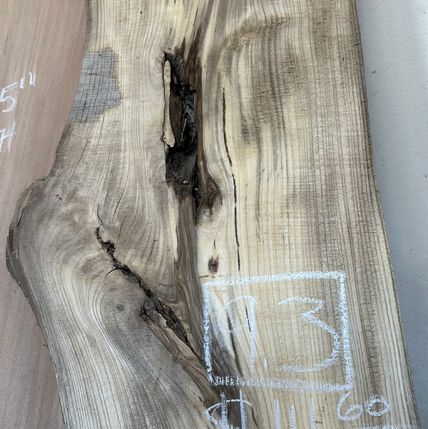 Hackberry #HB104 #CB