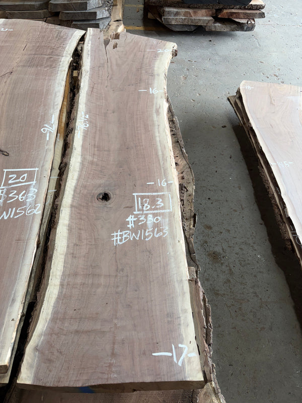 Black Walnut #BW1563