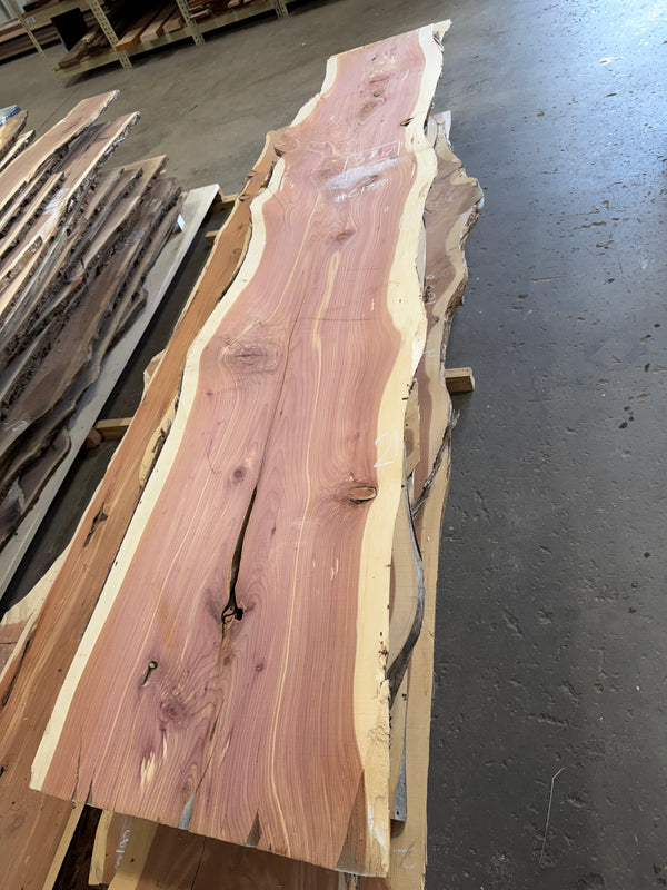Cedar #C1710
