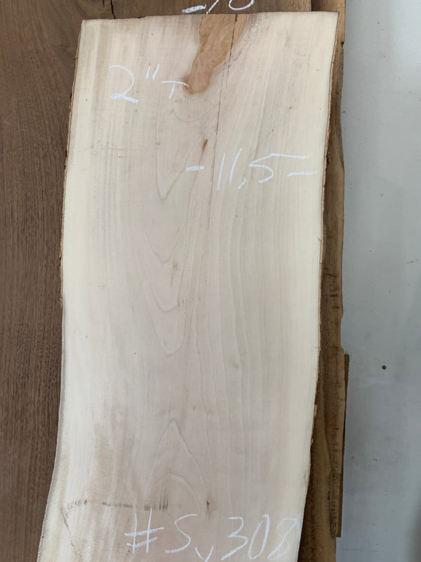 Sycamore #SY308