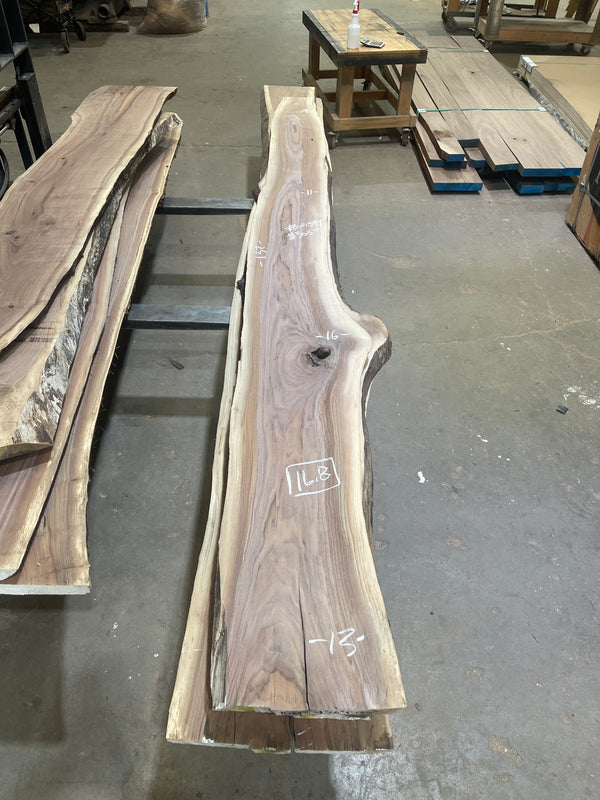 Black Walnut #BW1599