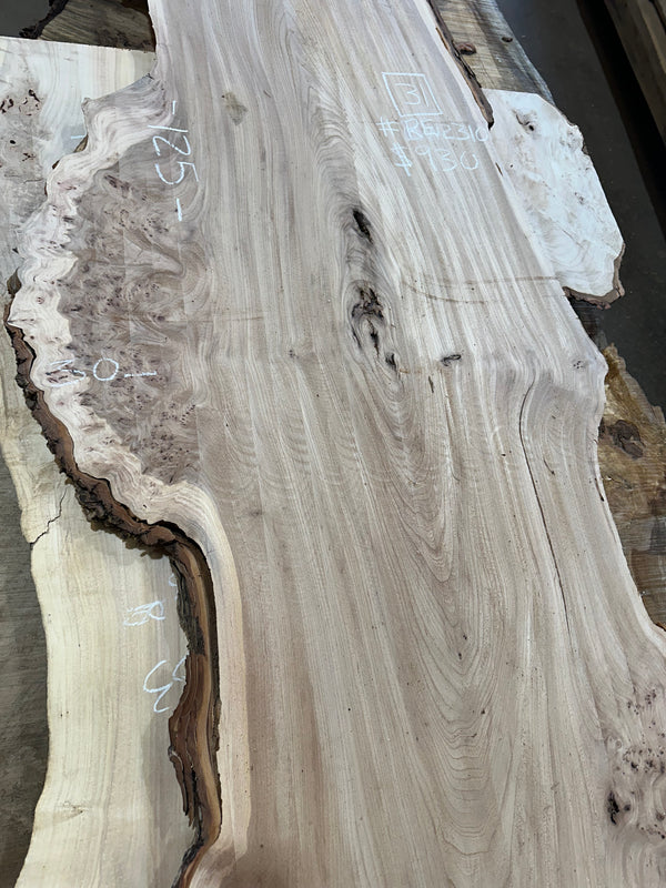 Red Elm #RE2310