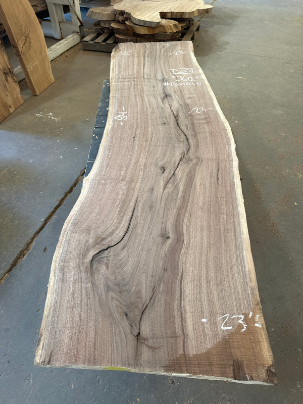 Black Walnut #BW631