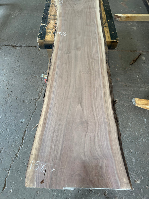 Black Walnut #BW1536