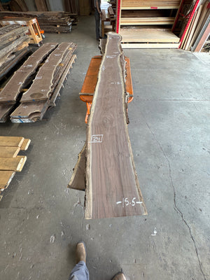 black walnut live edge slab #BW1595
