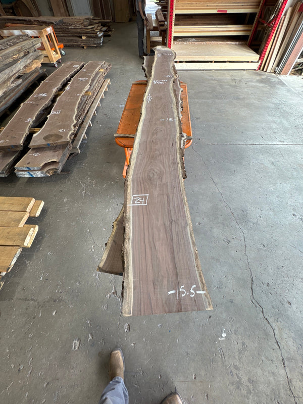 Black Walnut Live Edge Slab #BW1595 – 24 BF, 159" Long