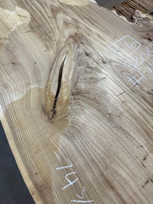 Red Elm #FWC025