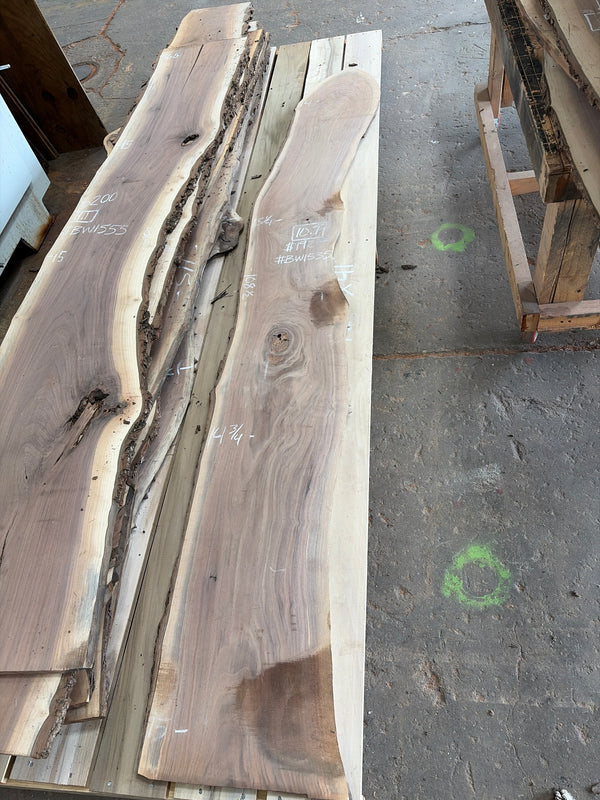Black Walnut #BW1535