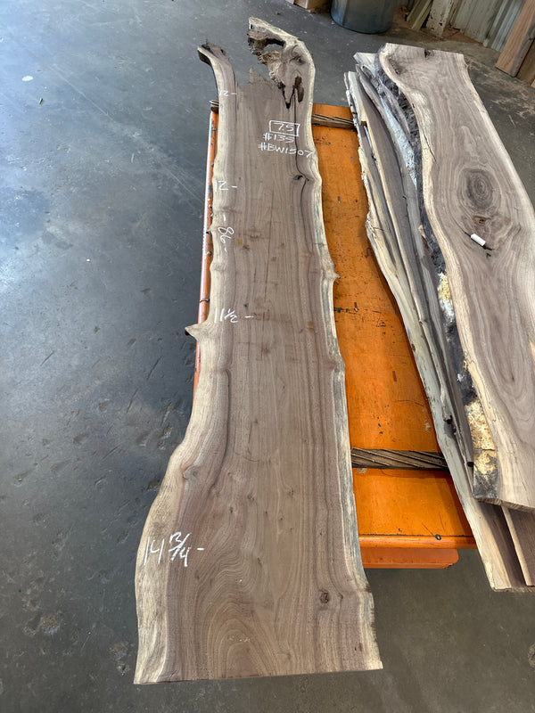 Black Walnut #BW1507