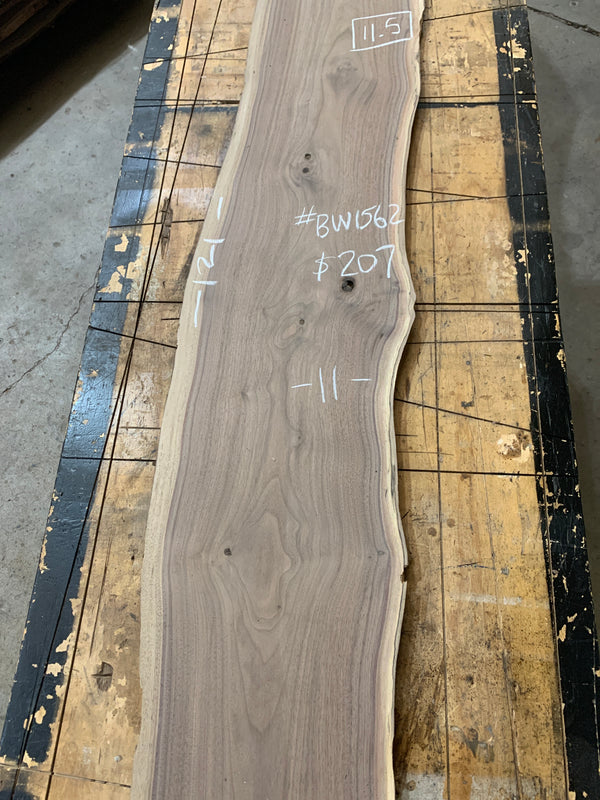 Black Walnut #BW1562