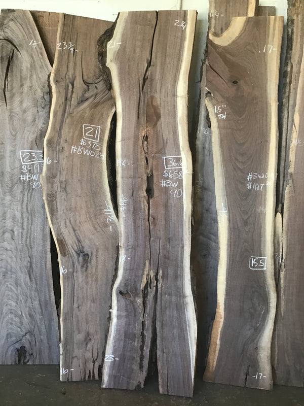 Black Walnut #BW901