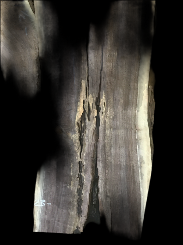 Black Walnut #BW901