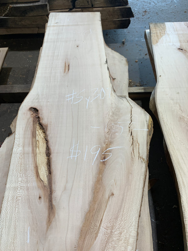 Sycamore #SY307