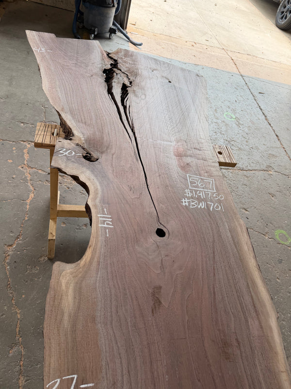 Black Walnut #BW1701
