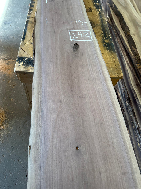Black Walnut #BW1518