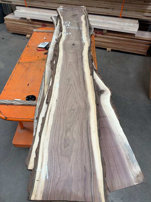 Black Walnut #BW1552