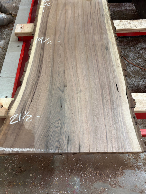 Black Walnut #BW1565