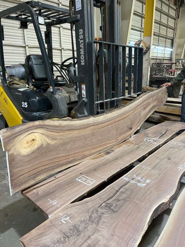 Black Walnut #BW15141