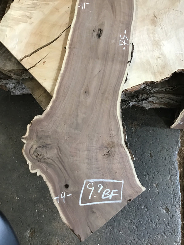 Black Walnut Slab #BW9903