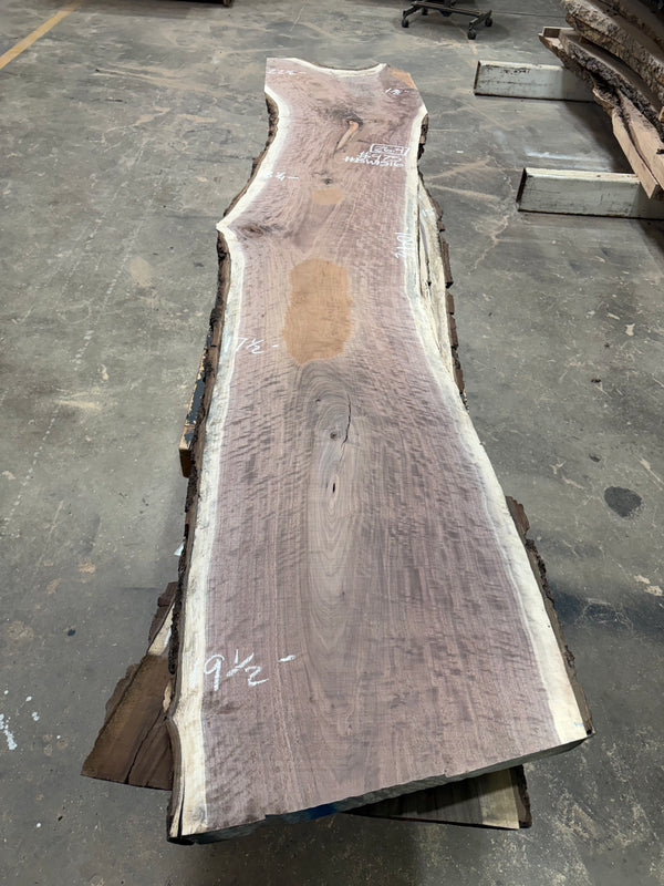 Black Walnut #BW1516