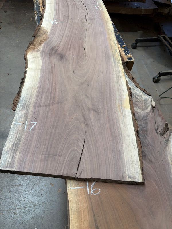 Black Walnut #BW1529