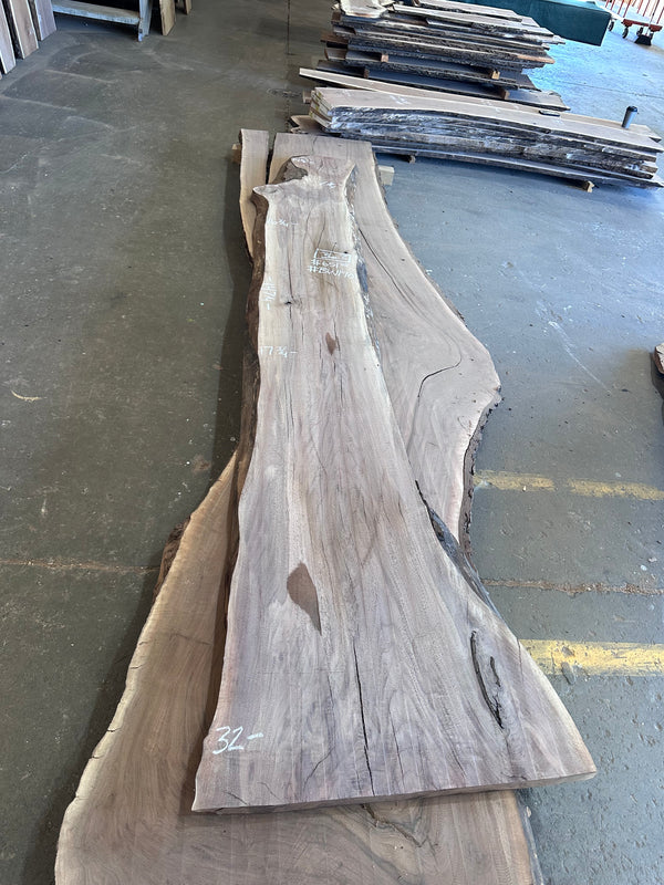 Black Walnut #BW1901