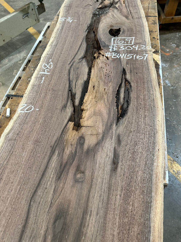 Black Walnut #BW15167