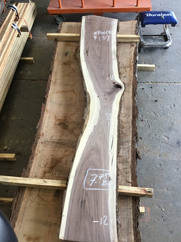 Black Walnut #BW15202