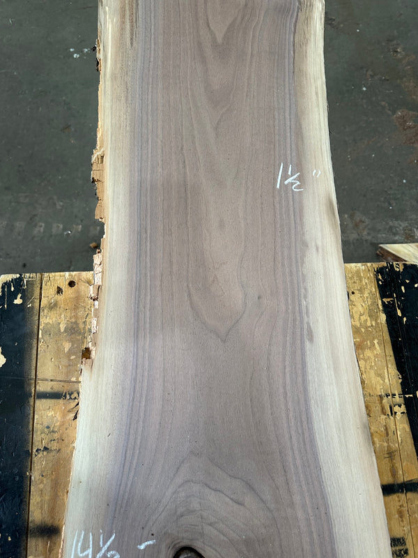 Black Walnut #BW1537