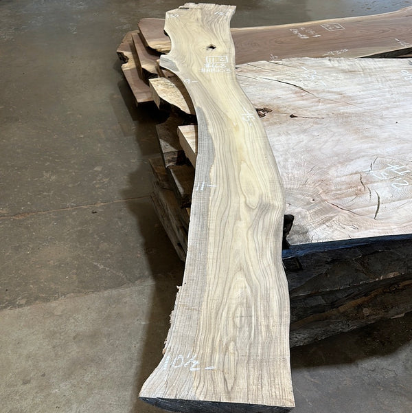 Hackberry #HB103