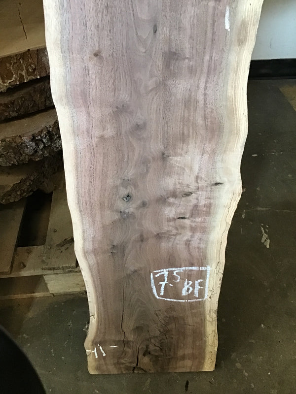 Black Walnut Slab #BW1902