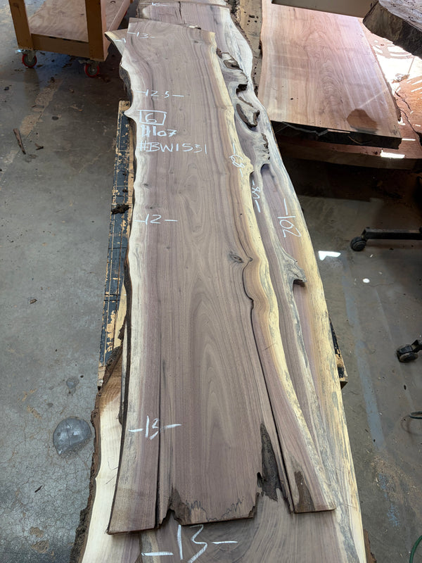 Black Walnut #BW1531