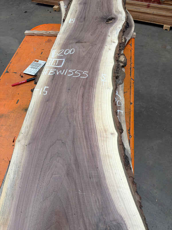 Black Walnut #BW1555