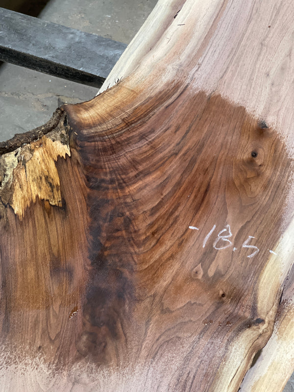 Black Walnut #BW15101
