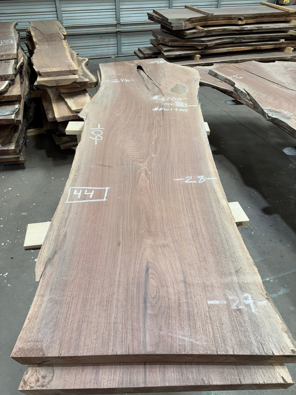 Black Walnut #BW1720